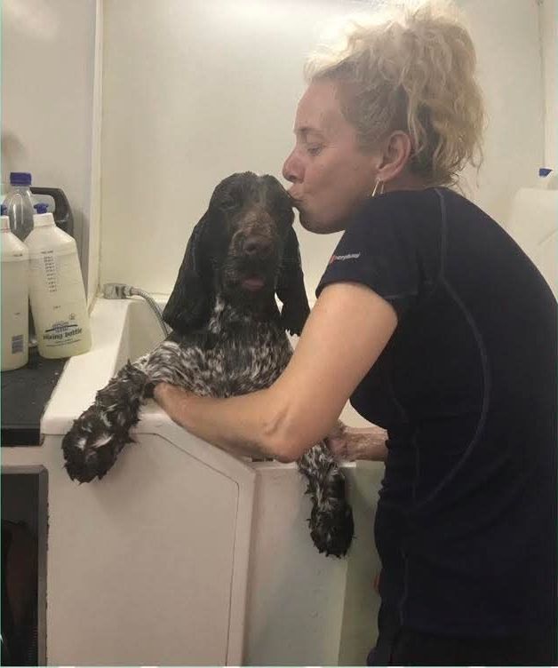Chantal giving a kiss to a spaniel during its bath in the grooming van